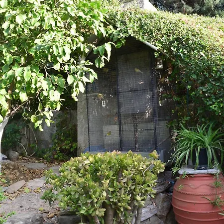 The House 2